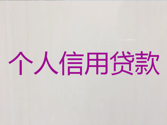 廉江市信用贷款-抵押担保贷款